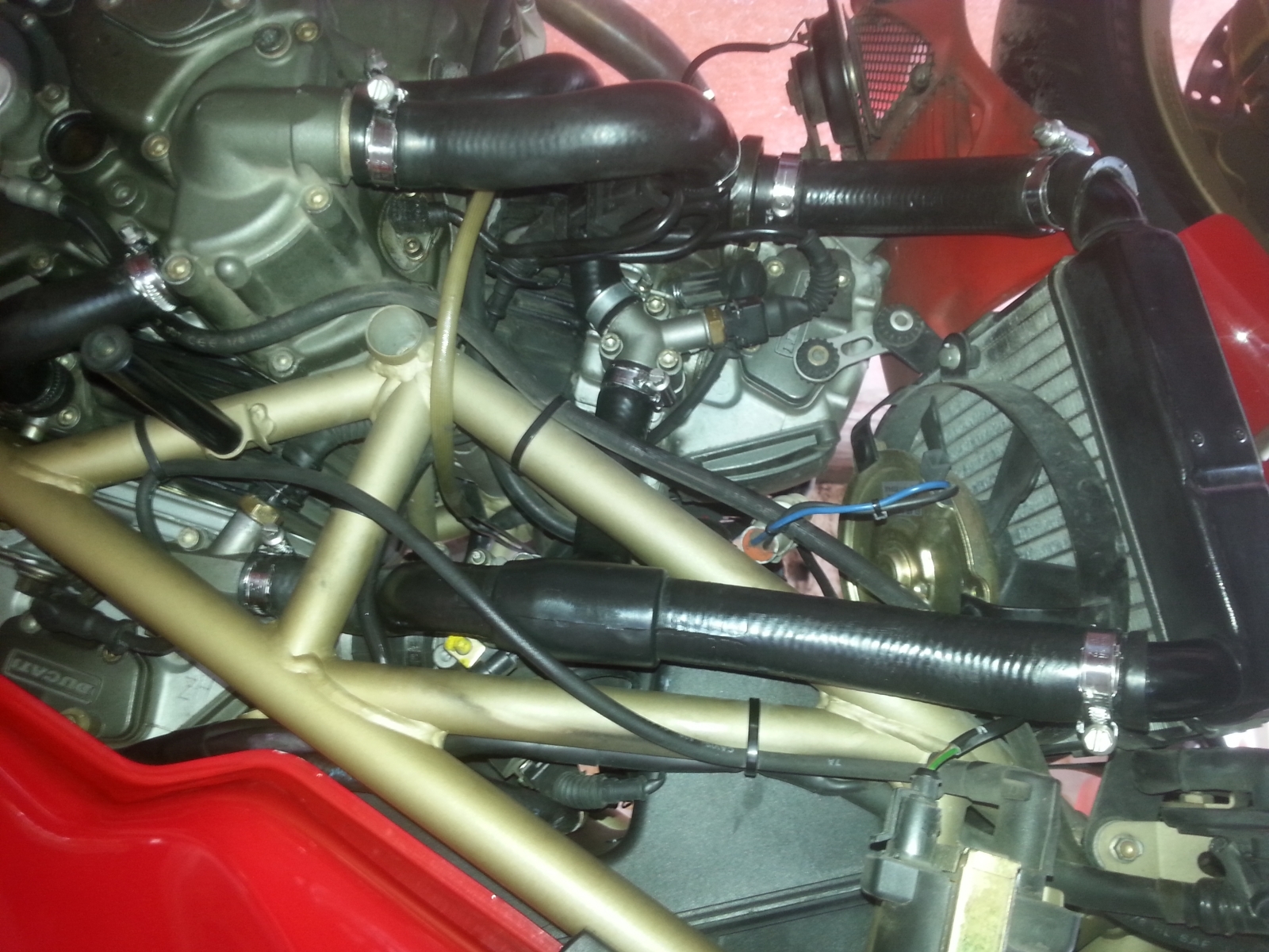 20160304_150810.jpg